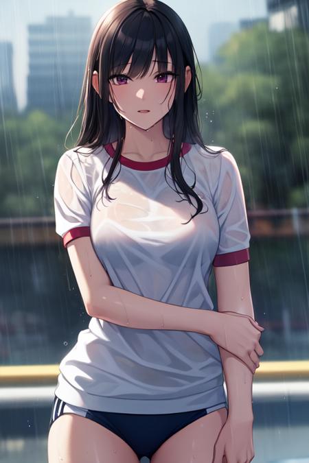 29382-1670551732-((extreme detail)),(ultra-detailed), extremely detailed CG unity 8k wallpaper, best quality, 1girl, wecl, rain, wet, wet hair,.png